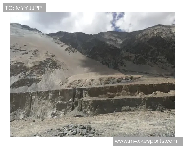 深度探讨杨强在CSGO中的成长与挑战之路